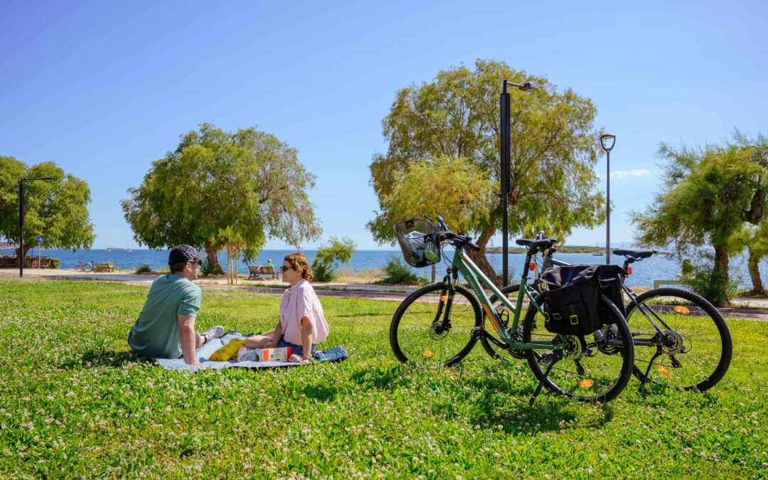 Picnic Leisure Experience