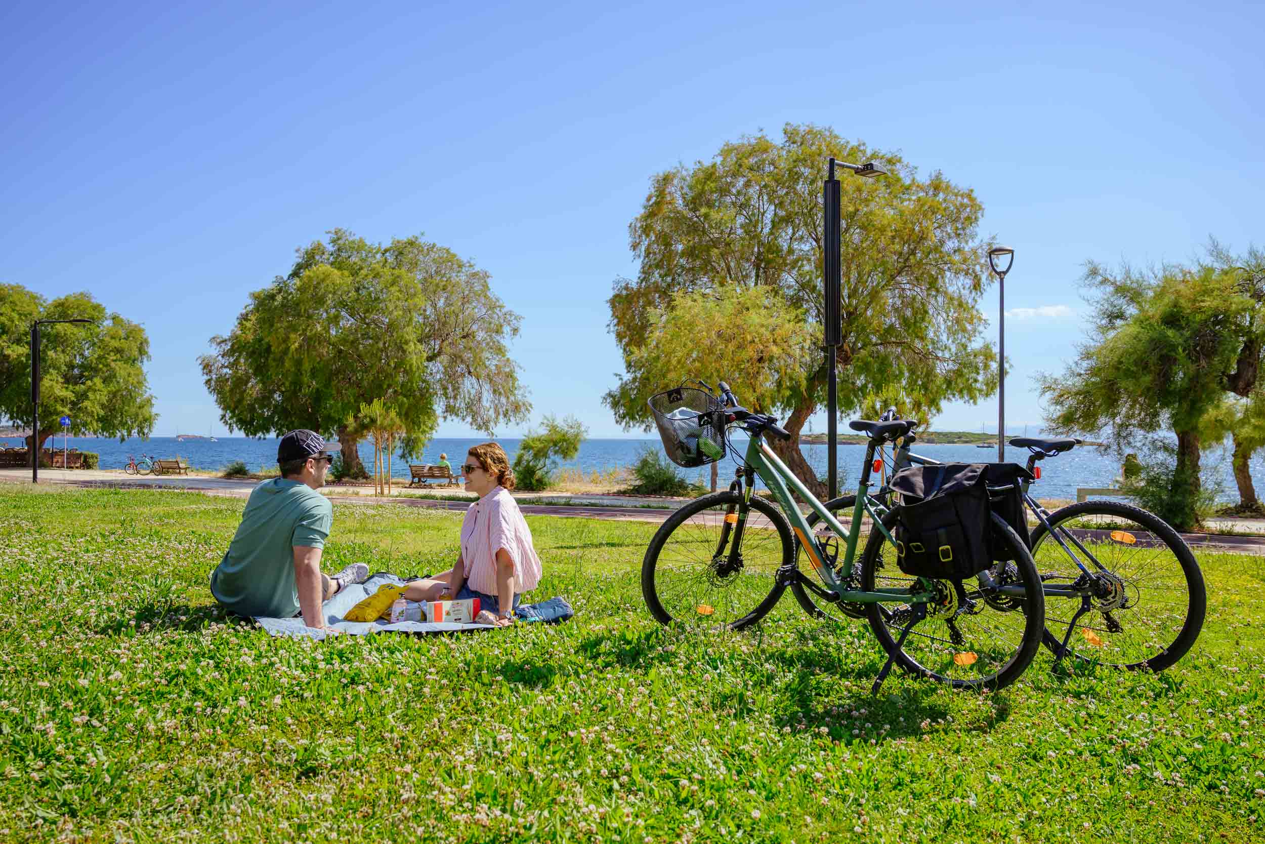 Picnic Leisure Experience